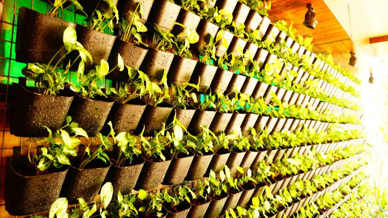 Thayamkery'S Royal Inn Kochi Екстериор снимка